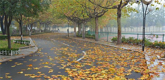 潍坊最好的高中排名前十,2022年潍坊高考各高中成绩排行榜