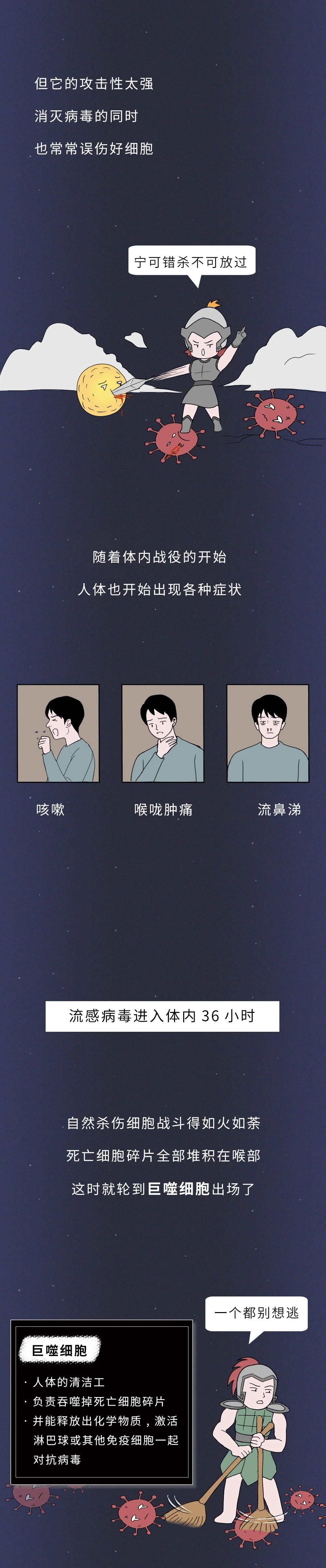 一张图读懂流感病毒的真正可怕之处