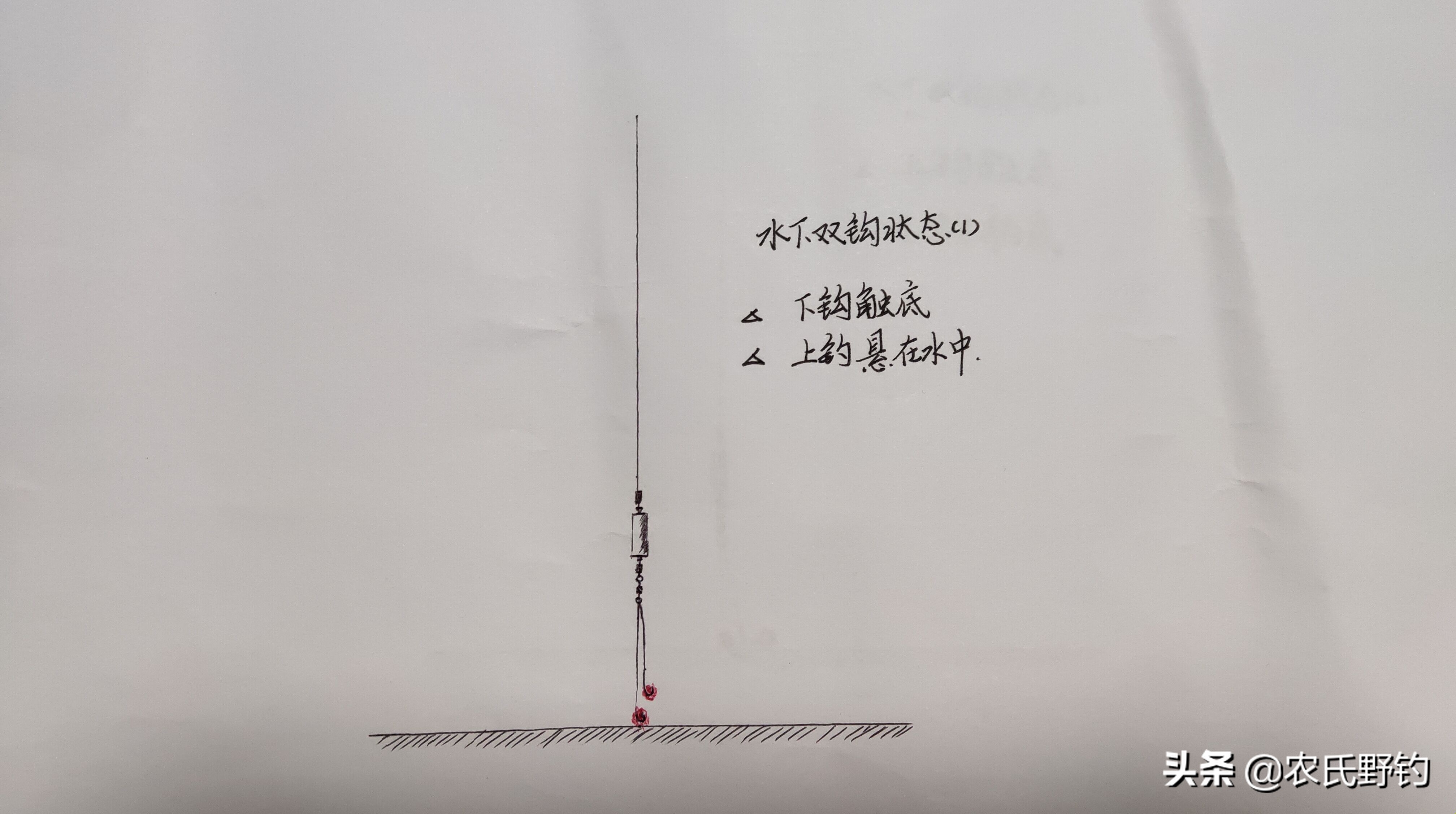 几个小技巧教你钓上鱼,掌握这几个野钓小技巧