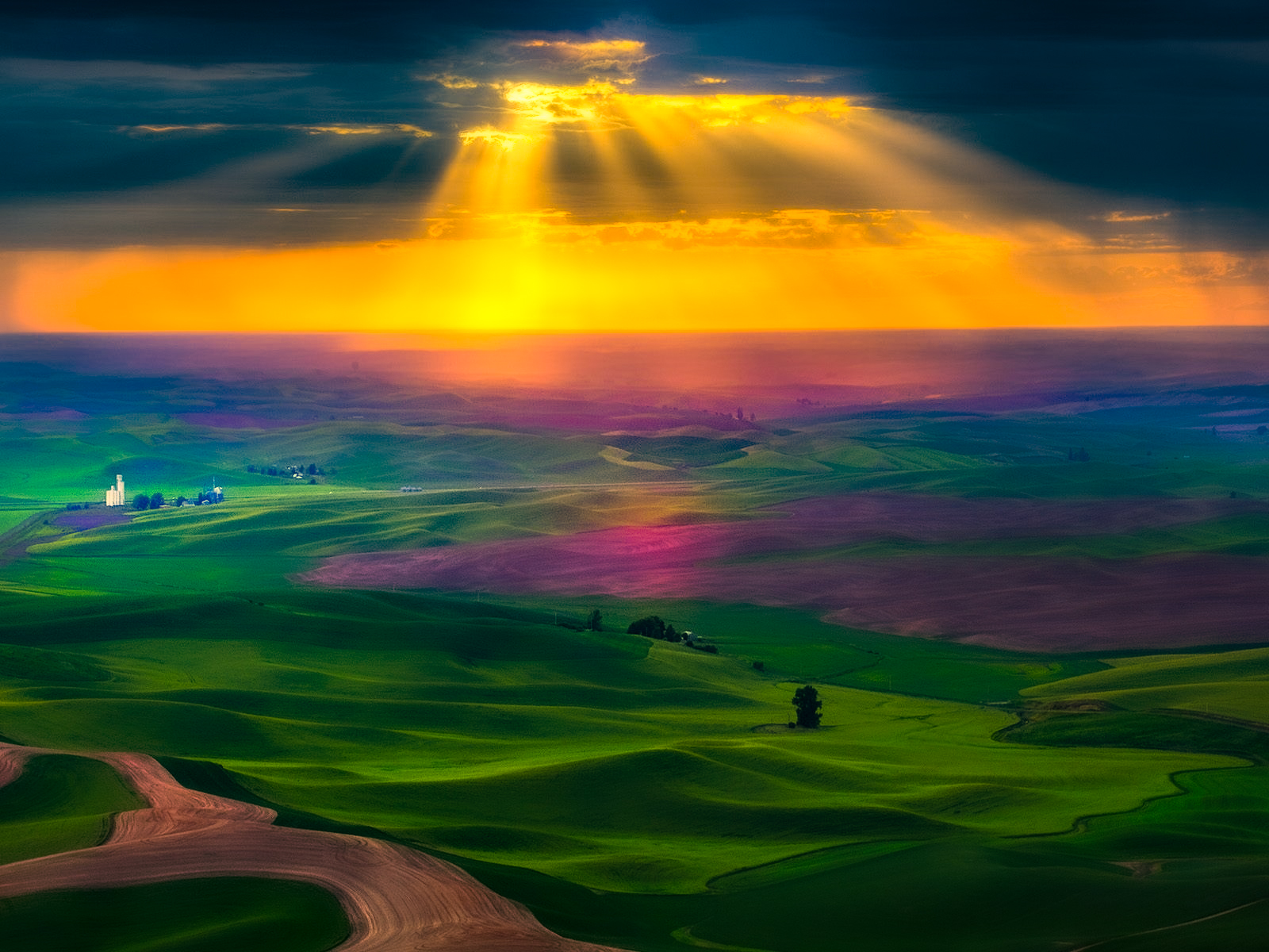 iphone桌面壁纸风景唯美,唯美淡雅花朵风景图片壁纸