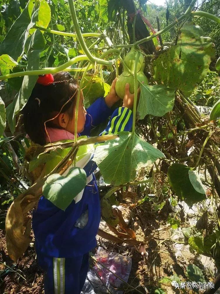 金太阳幼儿园校门,延安市甘泉谢金庄幼儿园