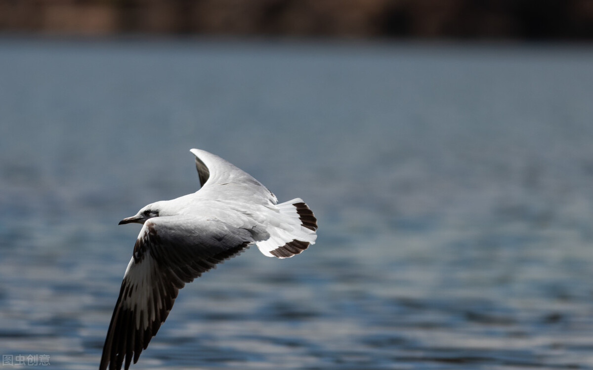 临死前的胡思乱想,人死了才会停止胡思乱想