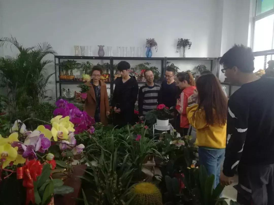 湘妹子的“花世界”——记黄陵县妇女创业能手张凤姣