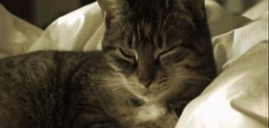 人类凭空消失去哪了,2027年人类会不会消失