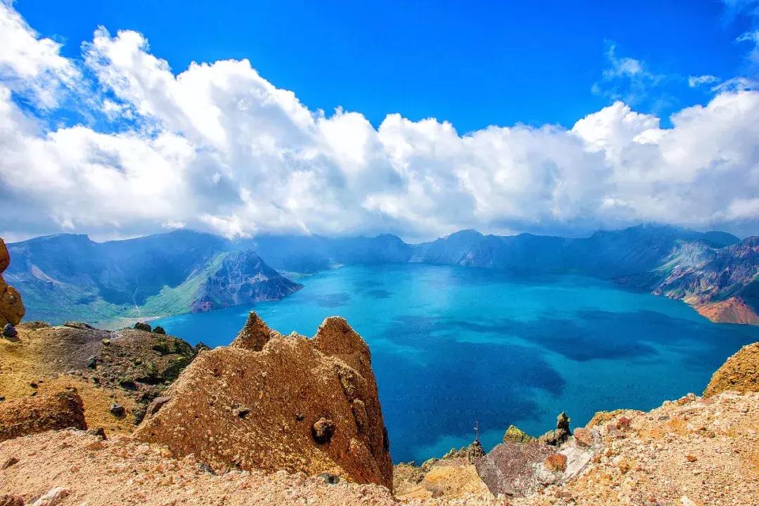 海南人会爬椰子树吗,会爬椰子树的海南人