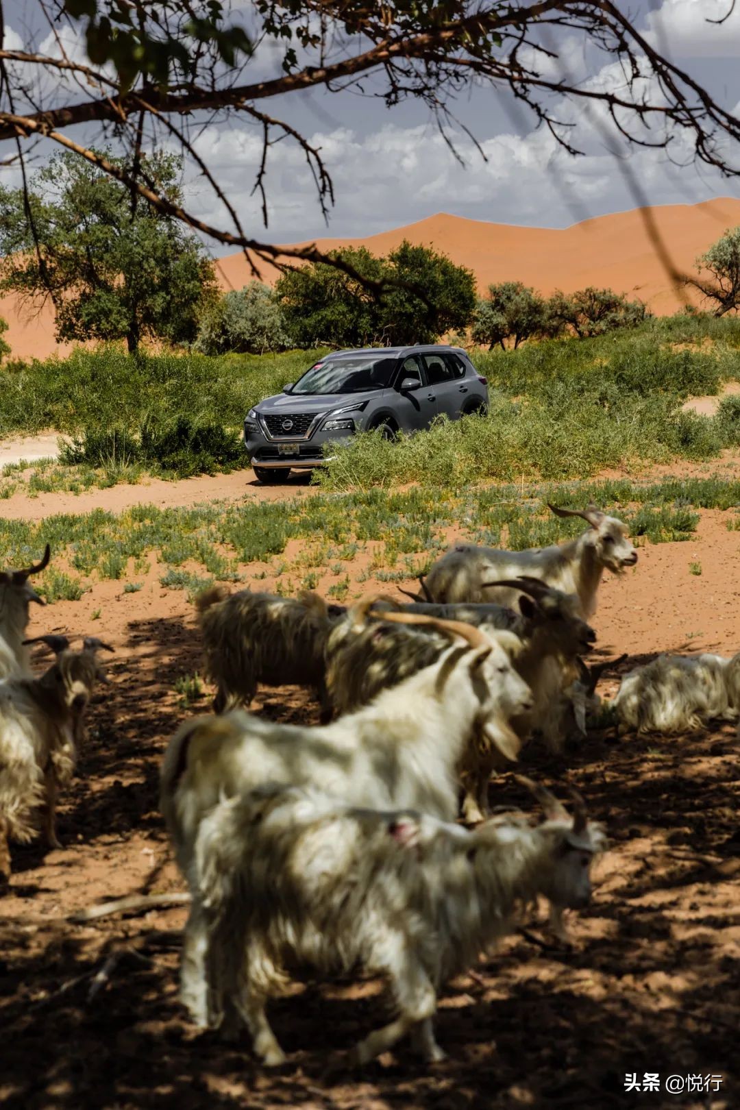 东风日产奇骏2020款跑多快,日产奇骏新老款对比测试