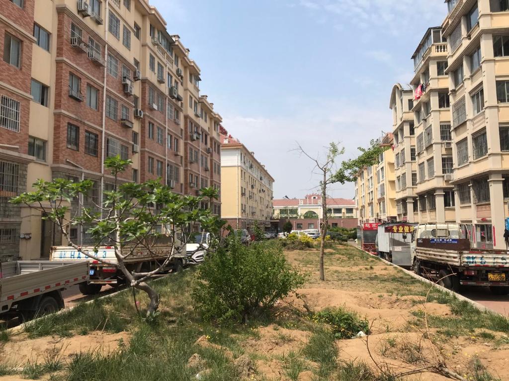 威海凤林房子值得买吗,威海凤林小区怎么样