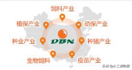 大北农集团简介是国企吗,大北农收购正邦最新进展