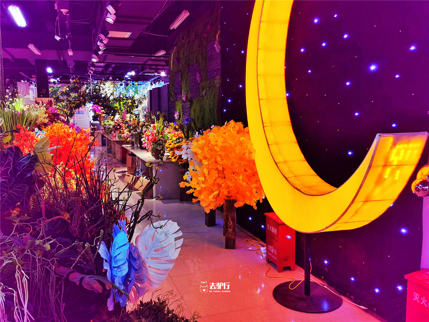 中国最大的鲜花批发市场在哪里啊,中国最大的鲜花市场