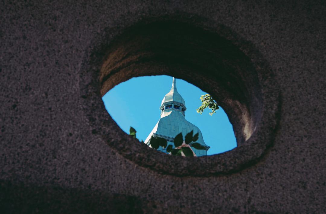 均温20℃的海滨老城，紫色泡桐花美得像国外，现在去性价比超高