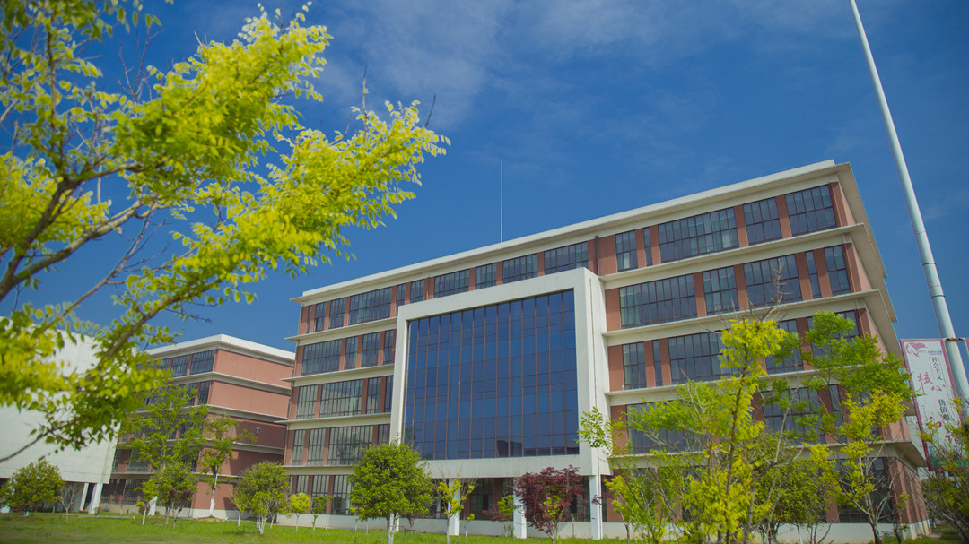 安徽省十大最具潜力高校,安徽省民办高校