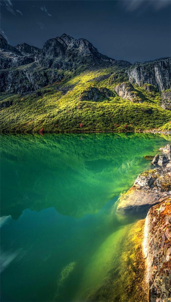 送你一张绝美壁纸,送你一张超美竖屏壁纸