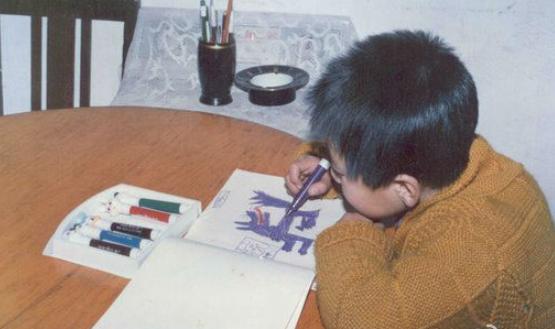 郎朗的成长辛酸历程,郎朗是如何一步步成为钢琴家的