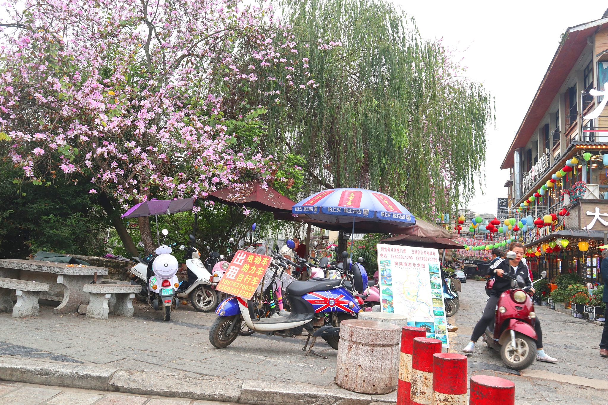 桂林骑行阳朔经典线路,江西骑行桂林阳朔攻略