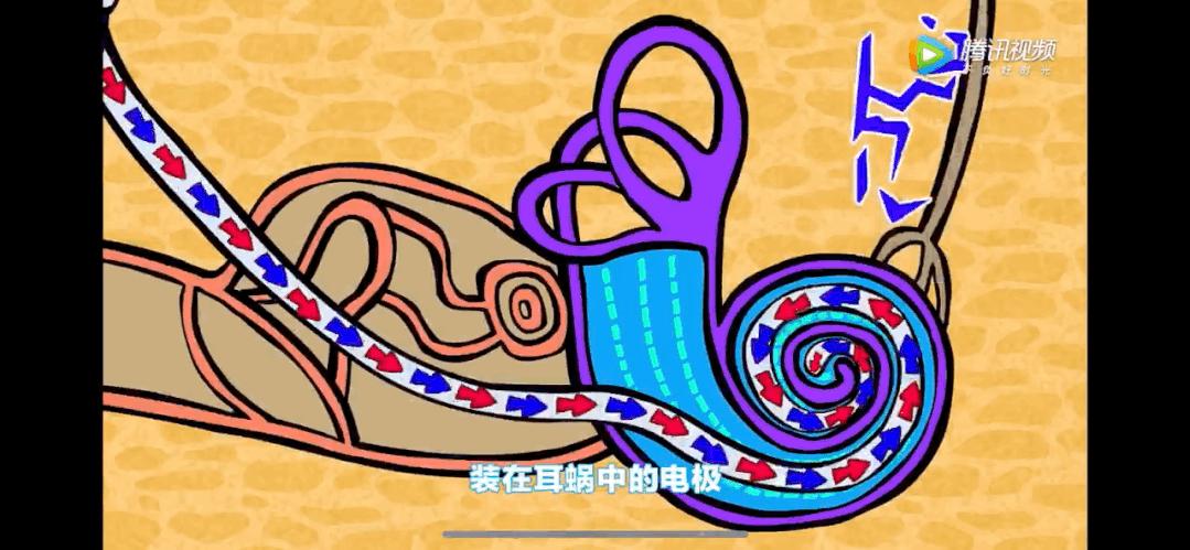 最近迷上了一部动画，一查，原来它是首部诺贝尔奖科普动画