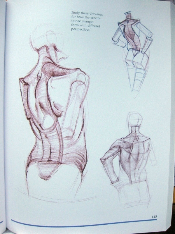 透视表现空间的基本方法,透视解剖学原理书籍