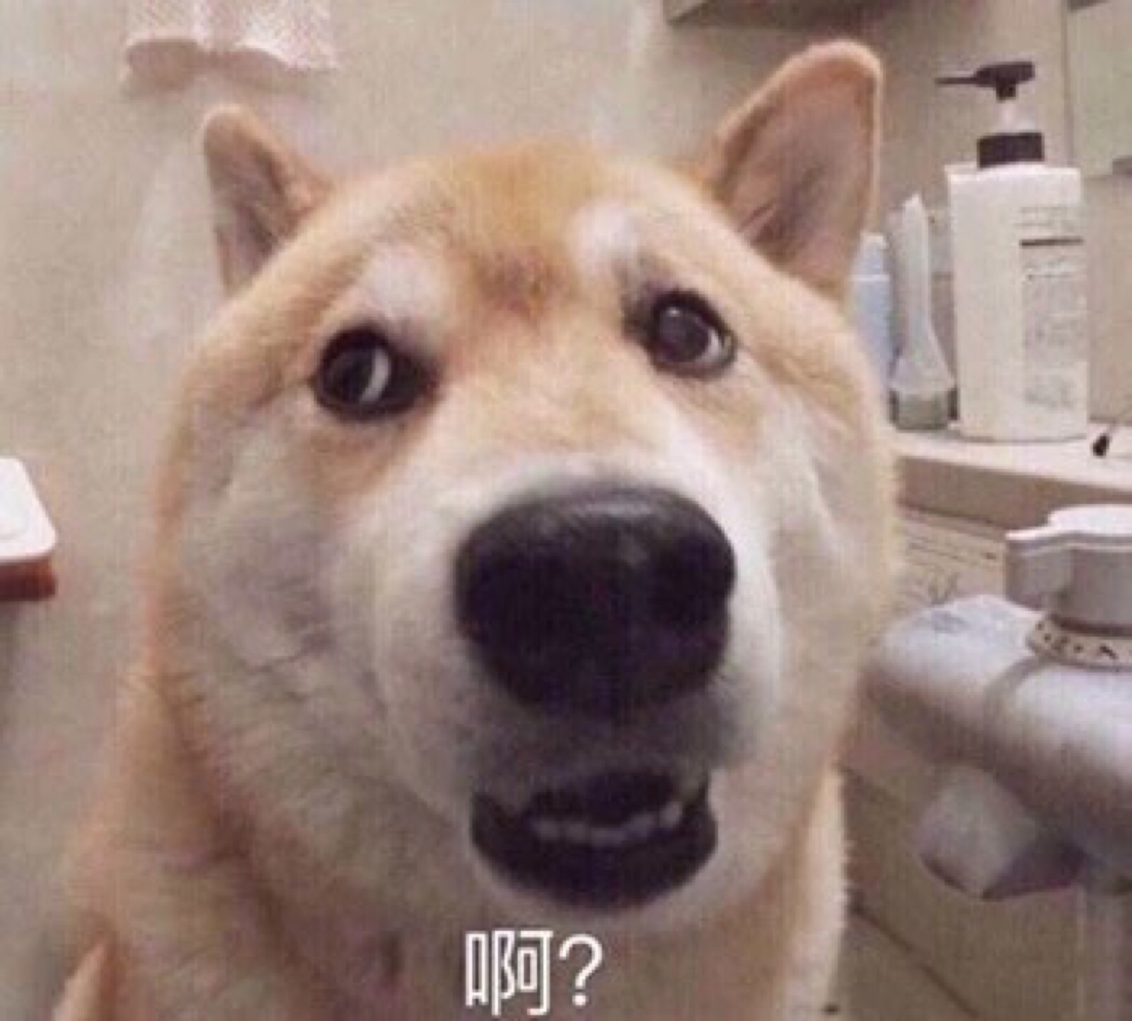 洗面奶海蓝之谜排第几,洗面奶海蓝之谜成分表