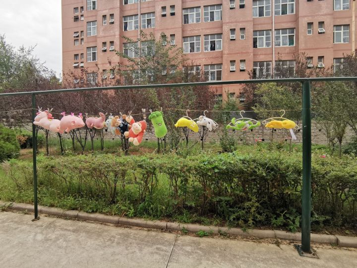 山东省曲阜市齐鲁理工学院,山东八大高校民办