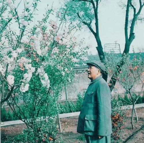 厨师韩阿富:炒毛*东泽**鱿鱼,为毛*东泽**烧菜23年,否认自己是名厨