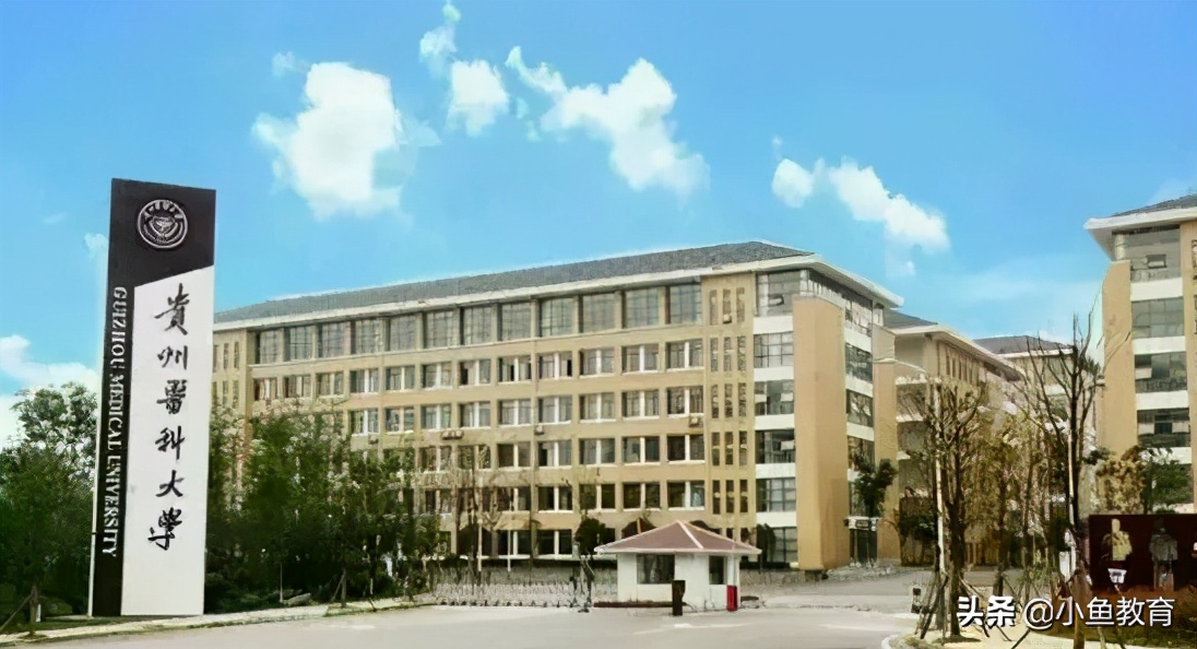 贵州排名前十的大学排名,2021年贵州省内大学排名