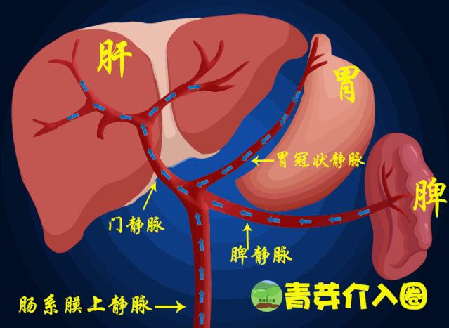 乙肝病人出现吐血便血大概活多久,乙肝吐血止血治疗方法