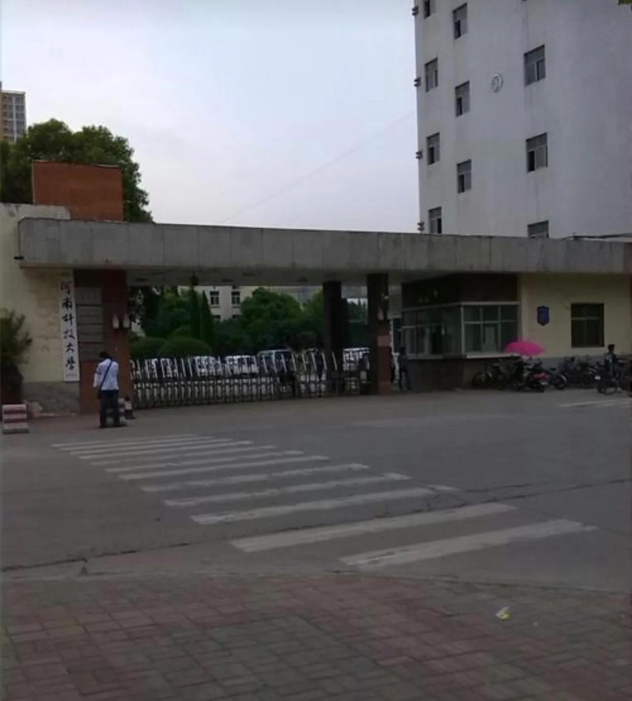 还记得“冬瓜”吗?