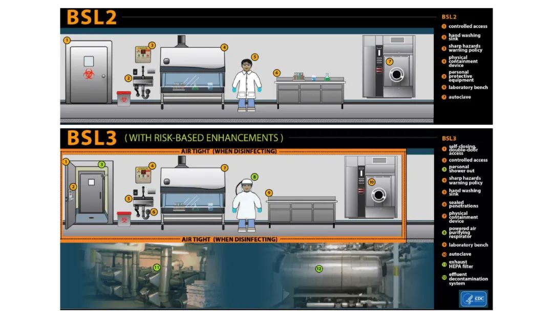 新冠病毒检测结果实验室解读,新冠病毒有哪些实验室检测方法