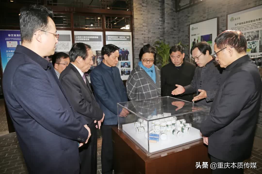 上海春芝堂食用菌,上海春芝堂食用菌最新新闻