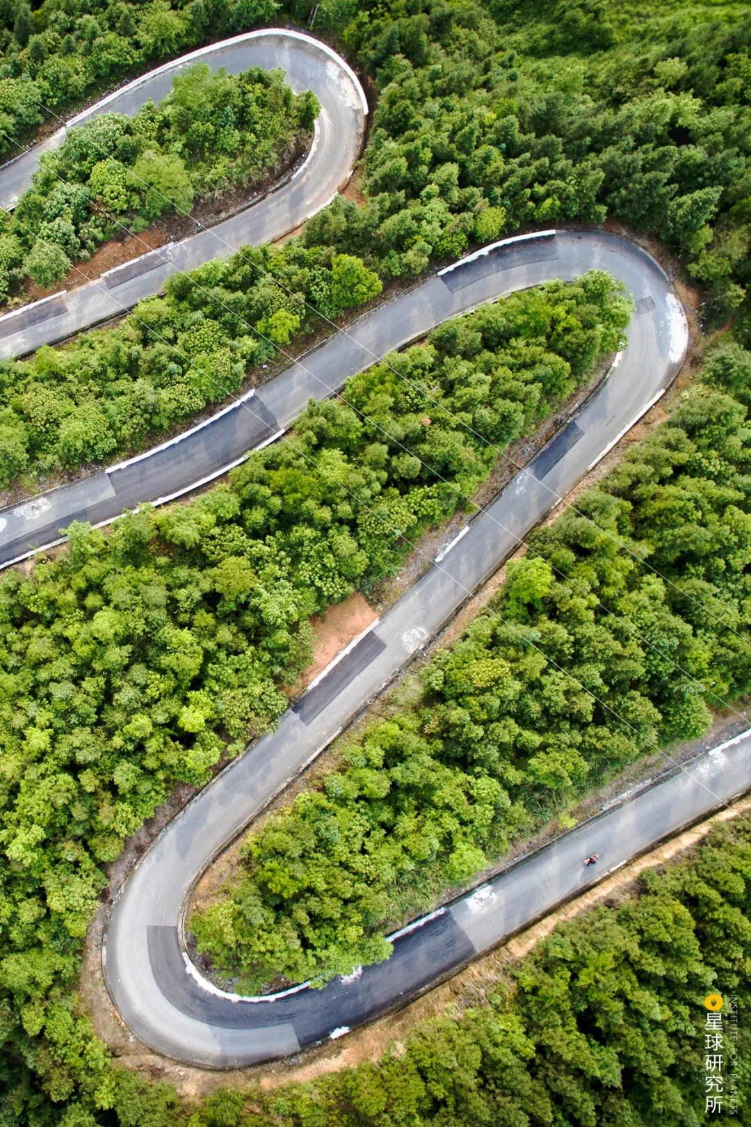 中国植树造林面积,中国植树造林成果国外有什么看法