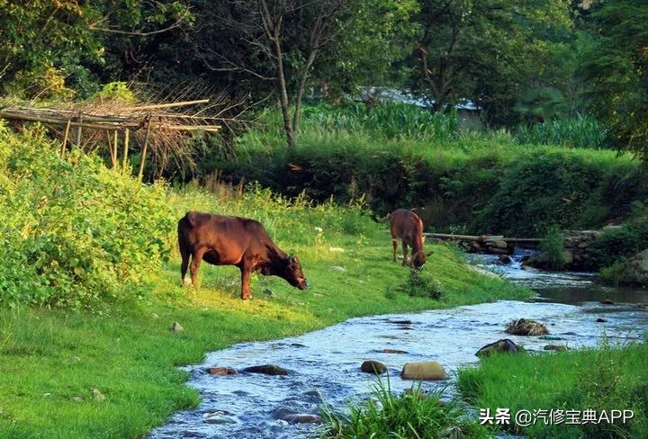 汽修师傅的心路,汽修师傅经验分享