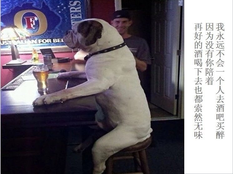 我只想说声爱你,只想再爱你一次