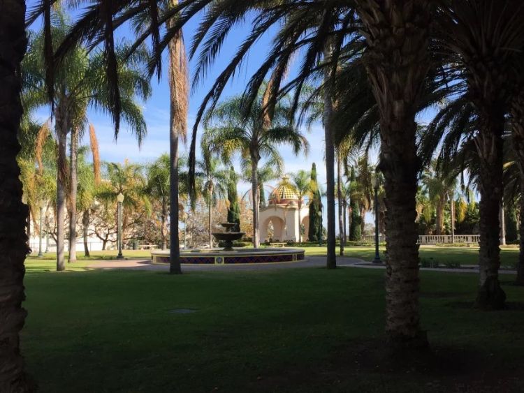 出国留学和没留学有什么区别,留学和没留学的区别是什么呢