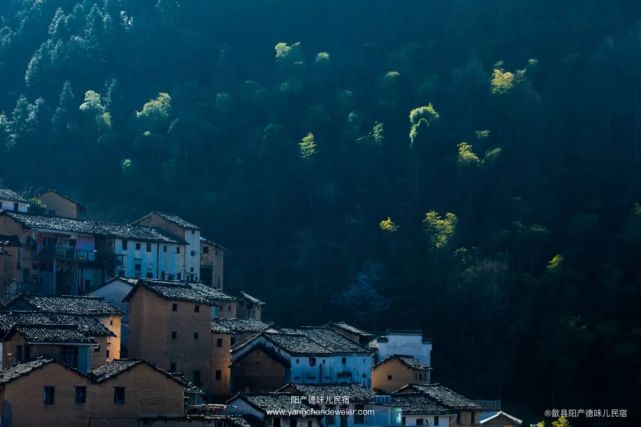 麦哲伦航线·第二站:阳产德味儿民宿合伙人-小丫TUYA