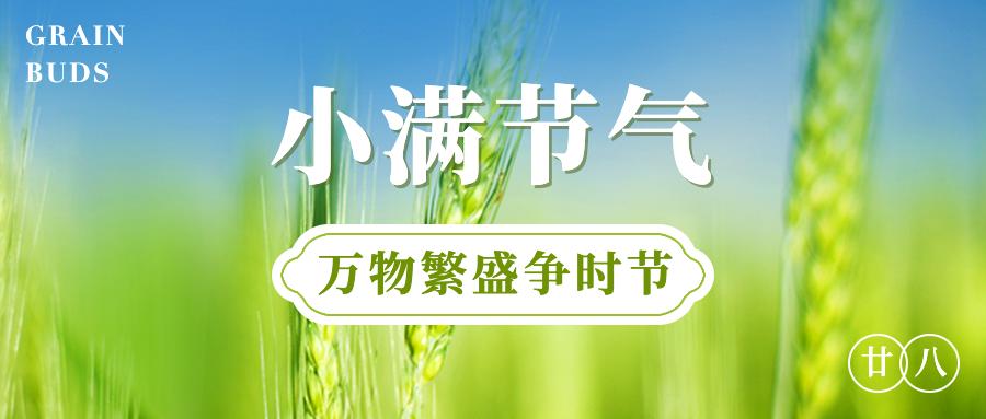 “小满”来了，它的英文表达，难道是smallfull？