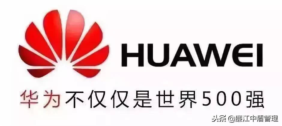 任正非鲜为人知的一面,任正非客观事实