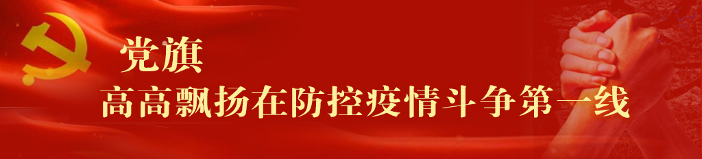 防疫工作发挥党员先锋模范作用,让党旗飘扬在防疫工作第一线