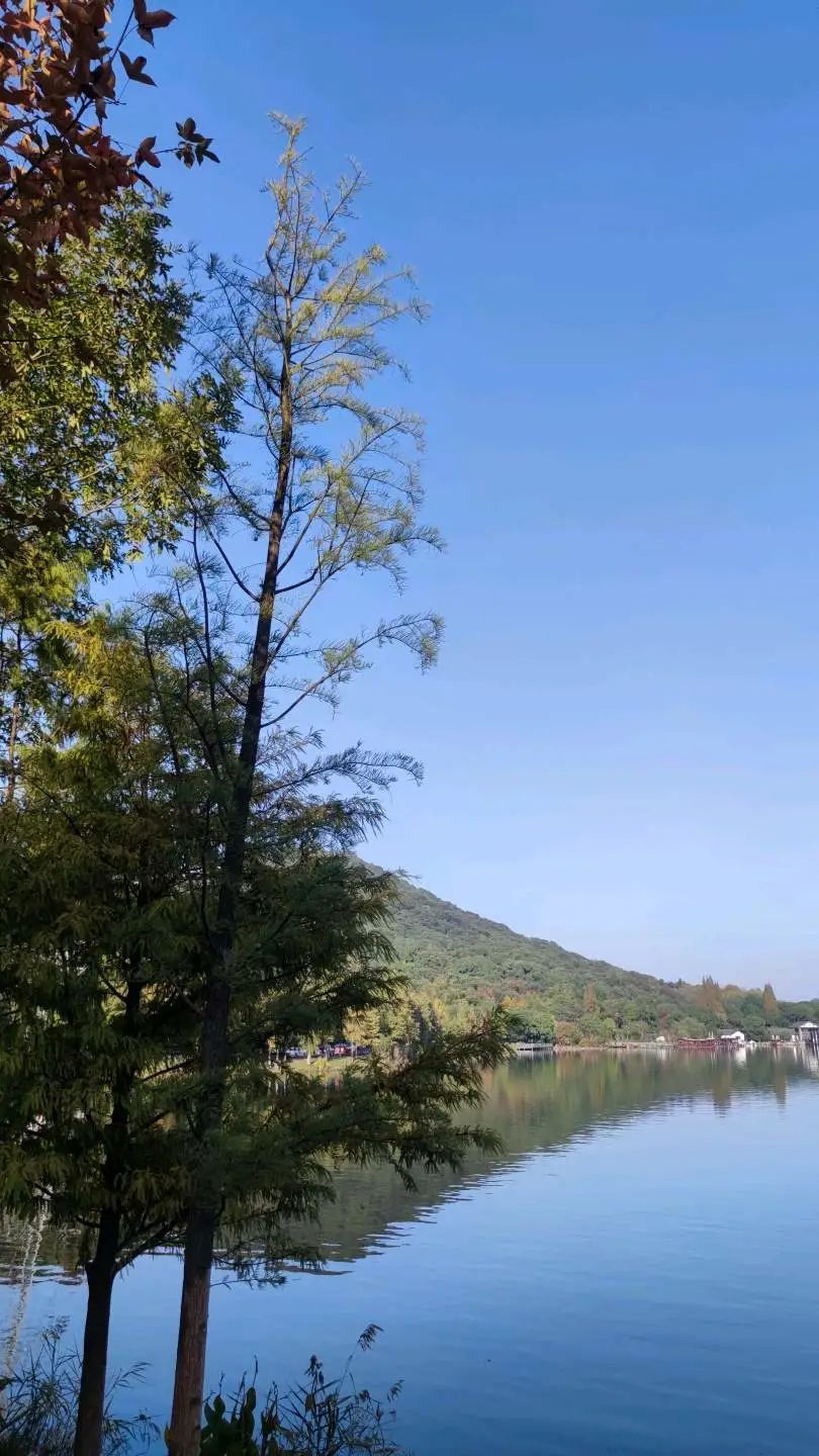 一周小结文字图片,小学一周小结怎么写