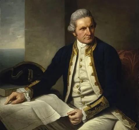 茶树精油的介绍,植物茶树精油