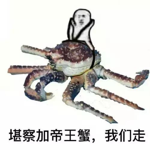 挤火疖子脓包有多痛,挤火疖子会往血管里爆吗