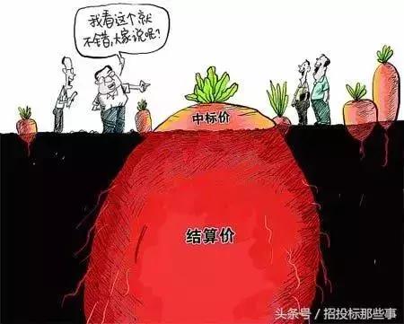 怎么确定是陪标,原来这才是真正的翻译