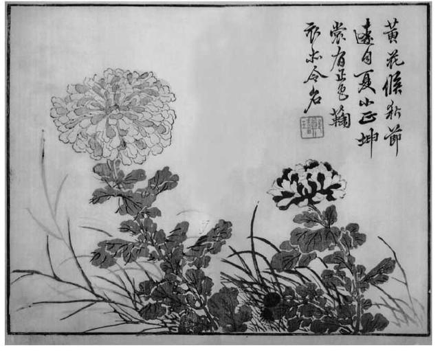 菊花写意画法100幅,简单的写意菊花画法