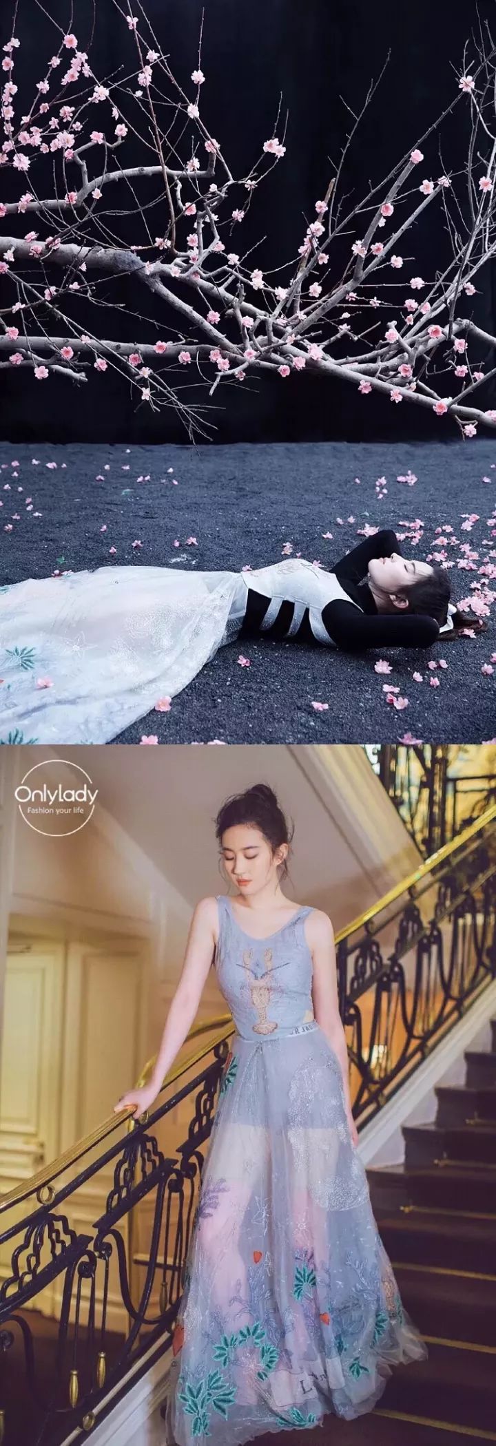 没有网红的时候她是仙女,有网红的时候她还是仙女啊