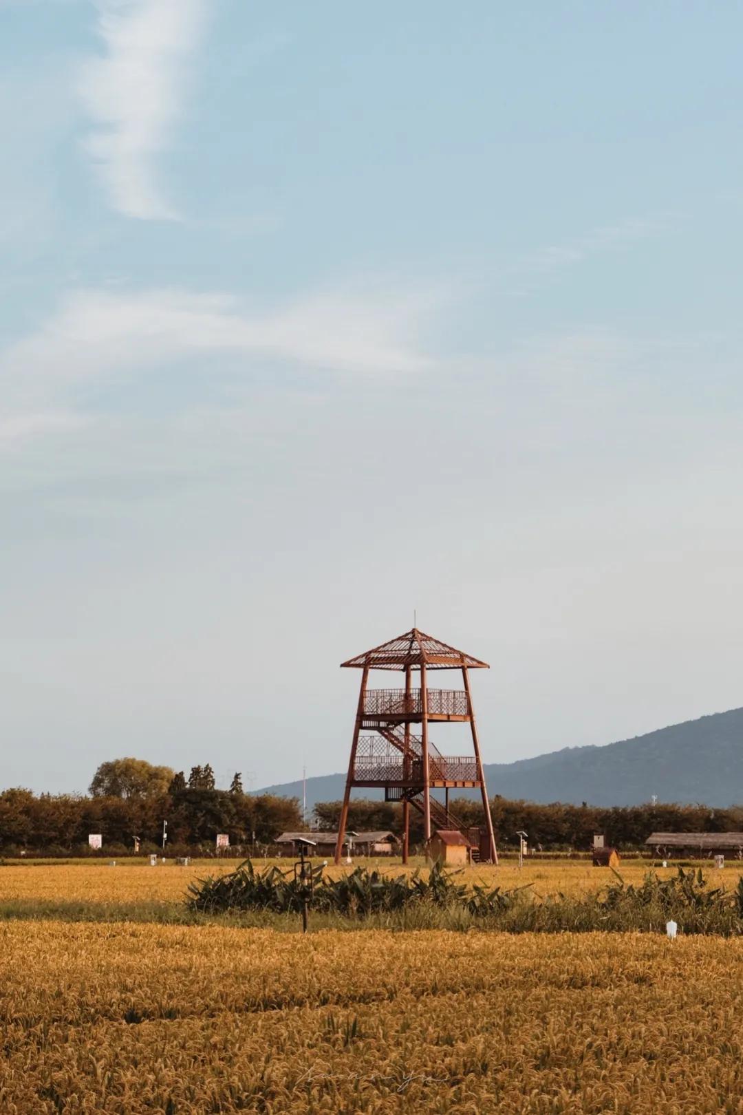 距离杭州45min的县城，竟藏着个“小新西兰”，趁人少快去