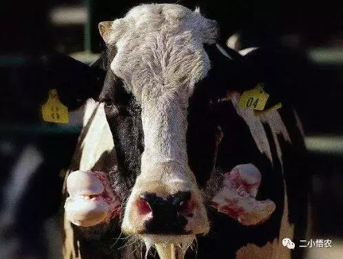 世界三大种植基地,世界三大适用耕种区域