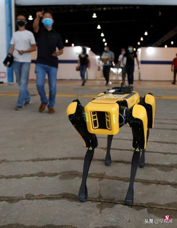 机器人、机器犬、远程陪聊新加坡六天建成高科技社区隔离设施