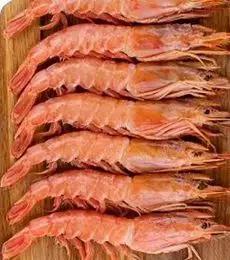 吃货福利免单,吃货福利送达