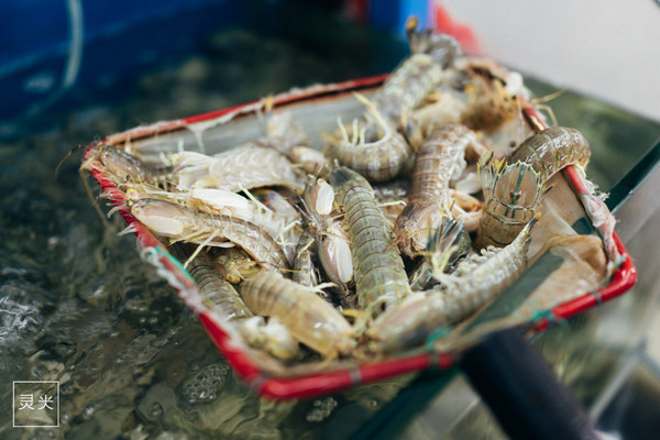 坐轮船多少钱三亚,去三亚坐轮渡7座车多少钱