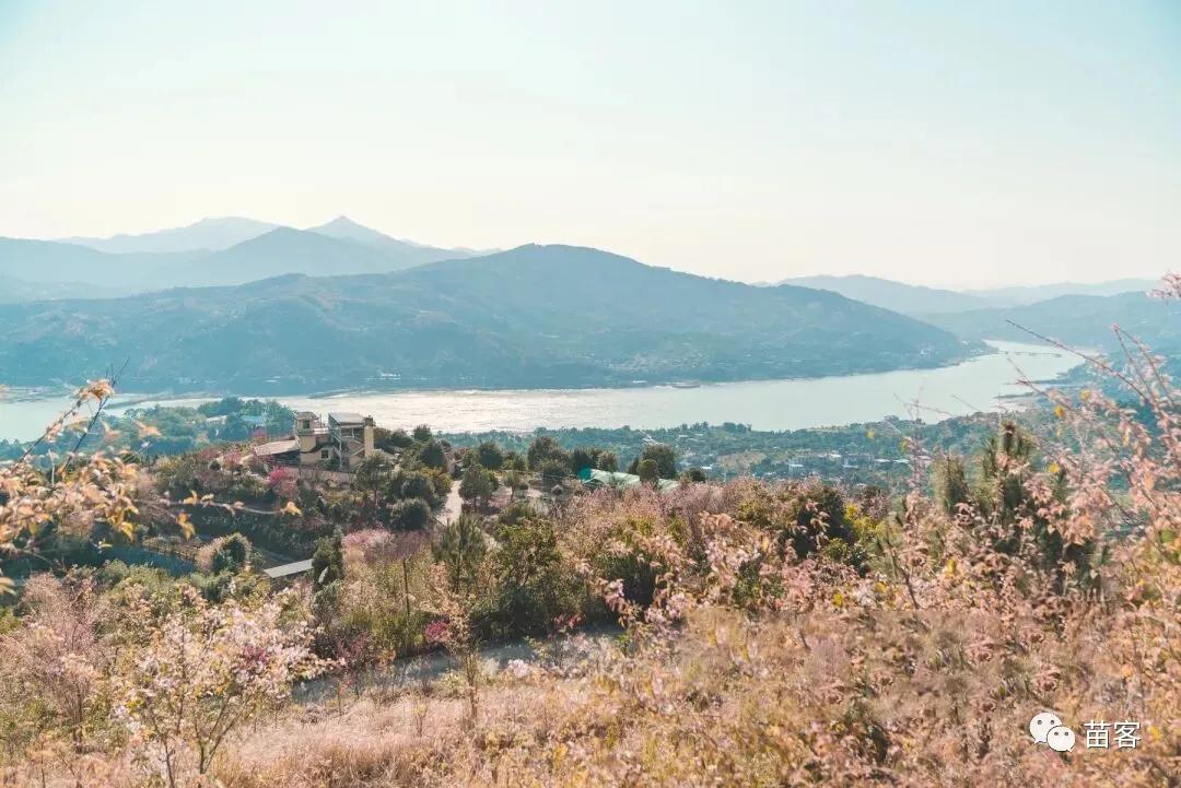 微时光田东,微时光美好生活