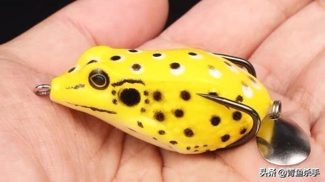 雷强钓黑鱼技巧教学视频,雷强钓黑鱼用什么饵