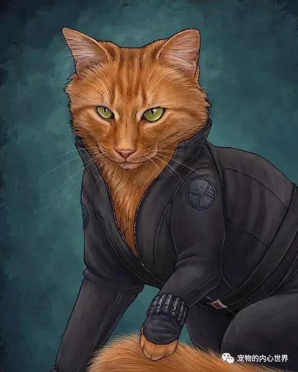 怎么纠正猫咪去厕所喝水,铲屎官发现猫咪尿不出来怎么办